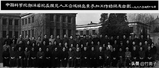 人工合成牛胰岛素获得诺贝尔奖(它是最靠近诺贝尔奖的一次)(2)