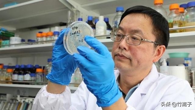 人工合成牛胰岛素获得诺贝尔奖(它是最靠近诺贝尔奖的一次)(1)