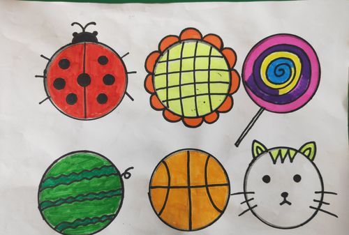 生活中有一个面是圆的物品有哪些