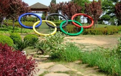 ​奥运五环绿色代表，奥运五环旗中的绿色环代表哪个洲？