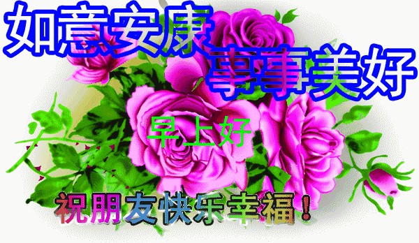 早上好表情包大全简单（早上好表情包千好万好）(7)