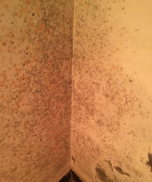 屋里太潮湿怎么办最快的办法