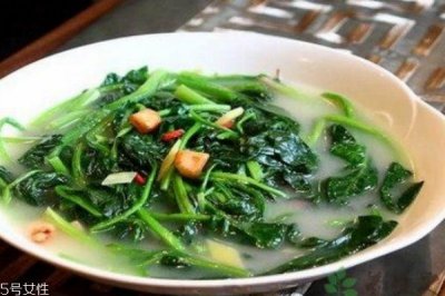 ​菠菜生长在什么环境中呢 菠菜多少钱一斤呢