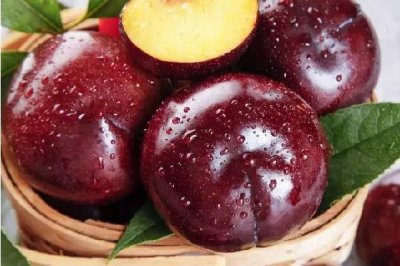 ​黑布林吃软的还是吃硬的 黑布林硬的可以吃吗