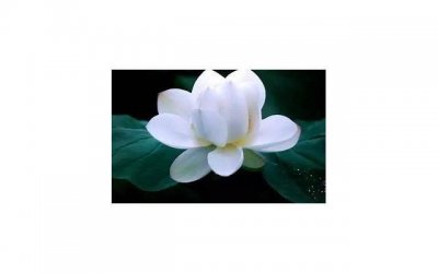 ​女子出轨被家暴怎么办，女子因出轨被打算家暴吗