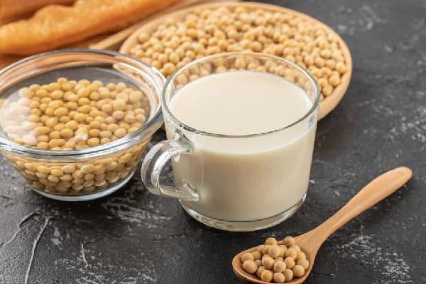 大豆蛋白粉和乳清蛋白粉的区别 大豆蛋白粉适合尿酸高的人吃吗 大豆蛋白粉和乳清蛋白粉的区别 大豆蛋白粉适合尿酸高的人吃吗