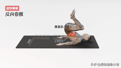 ​想拥有梦寐以求的马甲线和人鱼线，试试反向卷腹动作——塑造腹肌