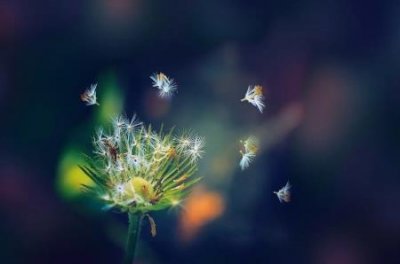 ​大维暖气片多少钱一柱暖气片价格大概多少，安装一组暖气片费用是多少