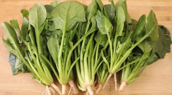 生活便秘吃哪些蔬菜容易通便（便秘最适合吃的蔬菜）  1