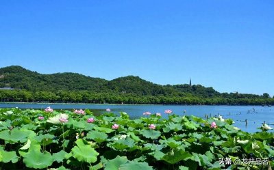 ​聊聊杭州天天渔港大酒店的轶事