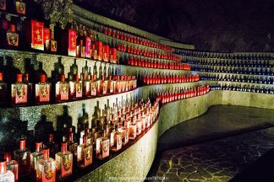 ​马奥啤酒价位 马奥啤酒价位多少钱