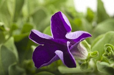 ​智慧的女人身上都有的特征