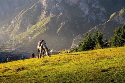 ​高位谋划，推进景区规划设计开发！米丘大师走进扎尕那……