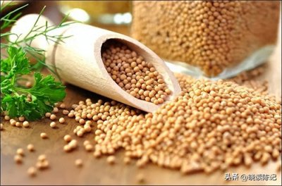 ​竹歇后语‖竹筒倒豆全抖搂