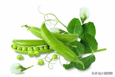 豌豆的各种吃法,看完你确定不流口水吗?