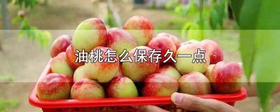 油桃怎么保存久一点 油桃怎么保存久一点不坏