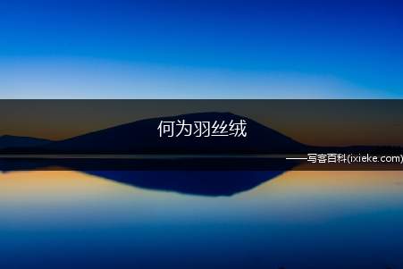 何为羽丝绒,羽丝绒是啥材料