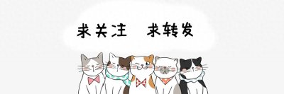 ​有个性的教练，他为刘国梁一脚踢翻孔令辉的床！曾带出国乒劲敌