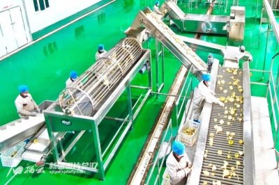 ​新疆柯坪：恰玛古成为增收新引擎