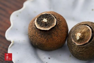 ​小青柑百科：一颗小青柑能泡几次？可以泡多少天呢？不看不知道