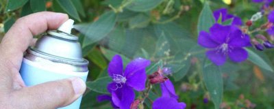 ​喷杀虫剂能开空调吗 喷杀虫剂开窗开空调可以通风吗