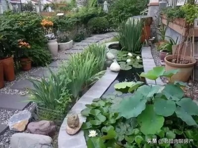 ​一楼带院的房子居住体验如何？听听过来人的真实感受