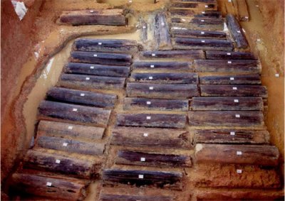 ​靖安出东周大墓，46名少女集体裸葬，头骨长出绿色“菜花”