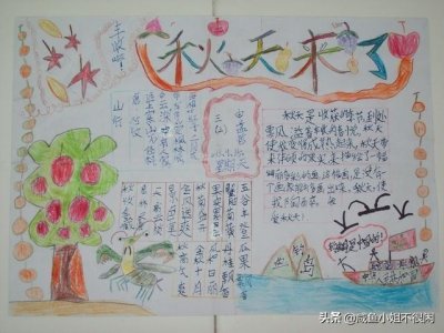 ​秋天主题手抄报大全，精美好画，小学生必备