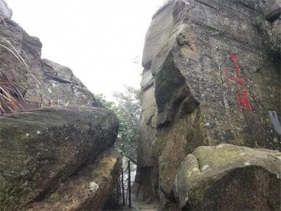 ​何教授坦言问心无愧，他没有收受任何钱财，也不认识双方当事人