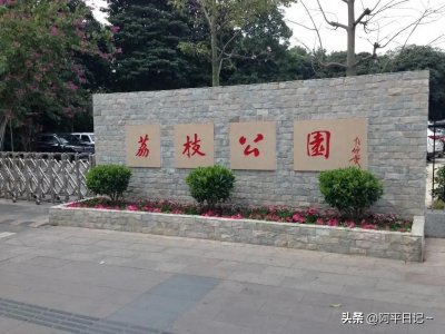 ​藏在深圳的宝藏角落——荔枝公园