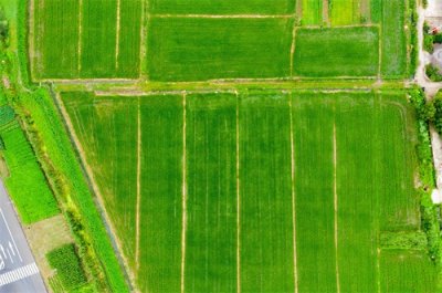 ​除草不要再随便买除草剂，这几种方法个顶个的好，你学会了吗？