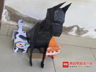 ​广西不少大学生竟在宿舍“养狗”！有的“狗”还会飞……