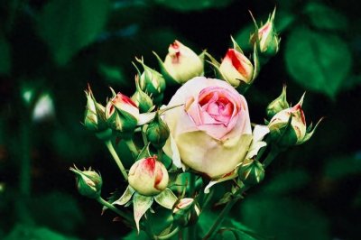 ​男人眼中最廉价的女人，是这3种，希望你不是