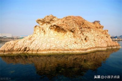 ​它们造句和解释_它们的例句有哪些