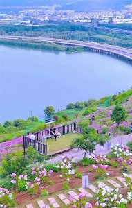 ​云南哪里的气候最适合居住