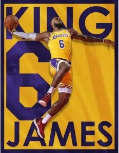 ​尼克斯vs湖人球员名单（洛杉矶湖人队VS纽约尼克斯队）